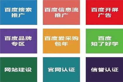 SEM托管代运营案例：打造高效营销体系